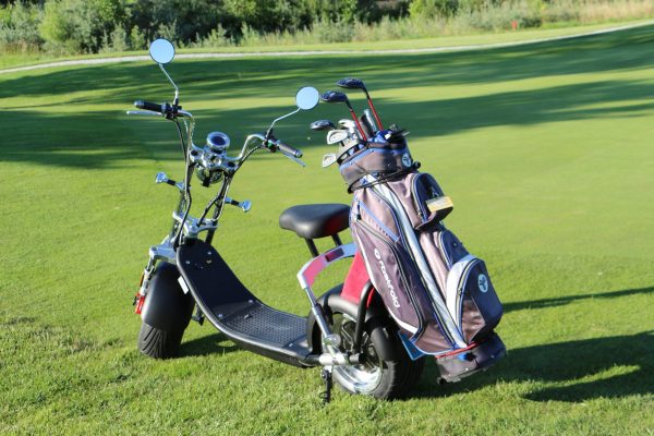 Electrische scooter met golftashouder